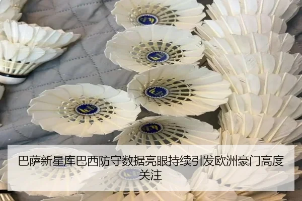 ba-sa-xin-xing-ku-ba-xi-fang-shou-shu-ju-liang-yan-chi-xu-yin-fa-ou-zhou-hao-men-gao-du-guan-zhu-2-892.jpg